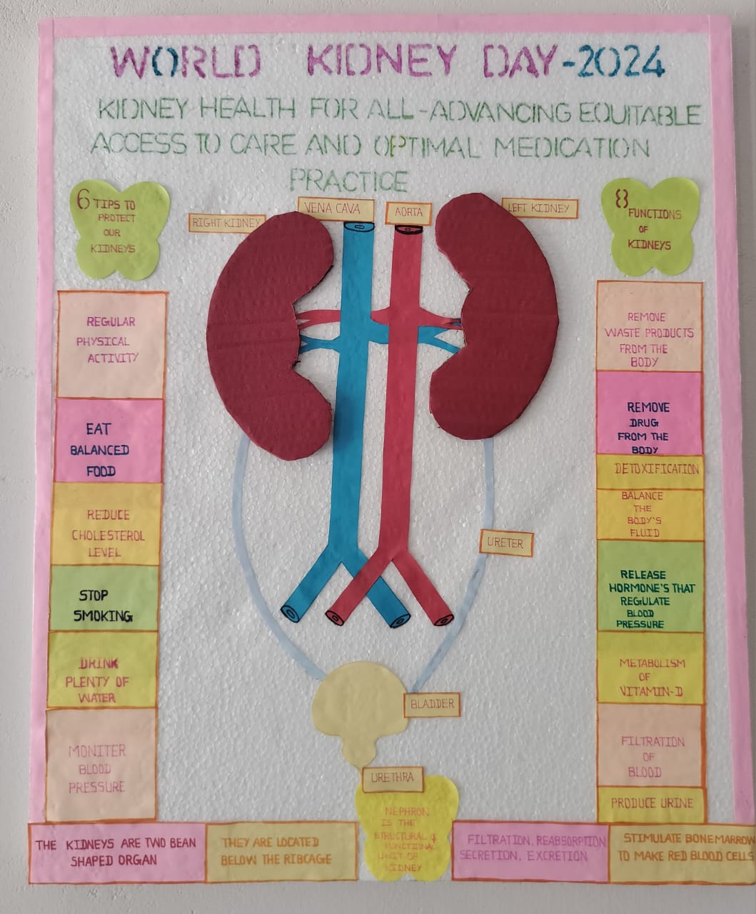 Kidney_Day